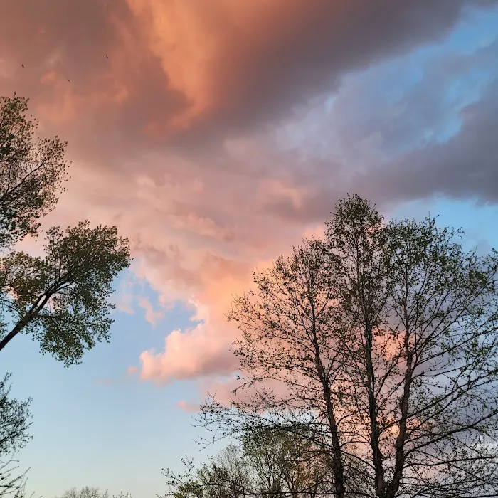 Kaskaskia River Project Campground 9