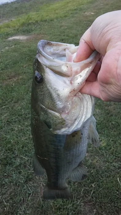 Lake Campalot 5