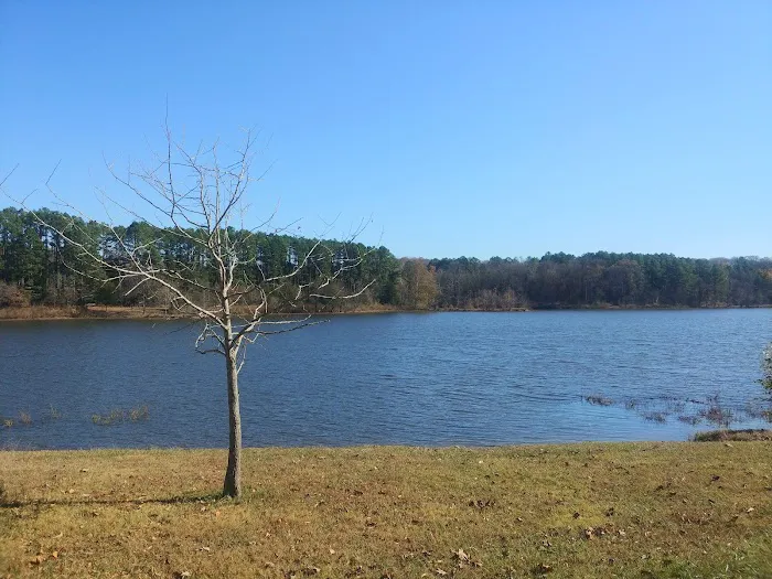 Tea Lakes 0