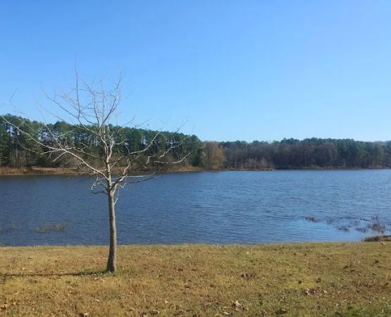 Tea Lakes