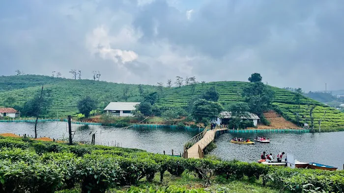 Tea Lakes 1