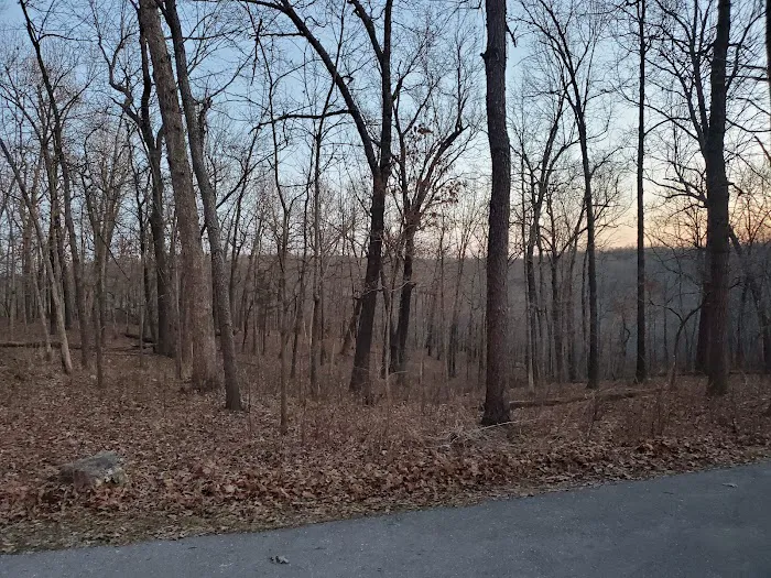 Campground #4 4