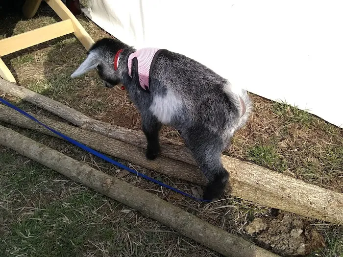 Barks Plantation 1