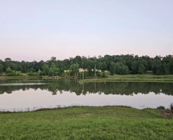 Barks Plantation