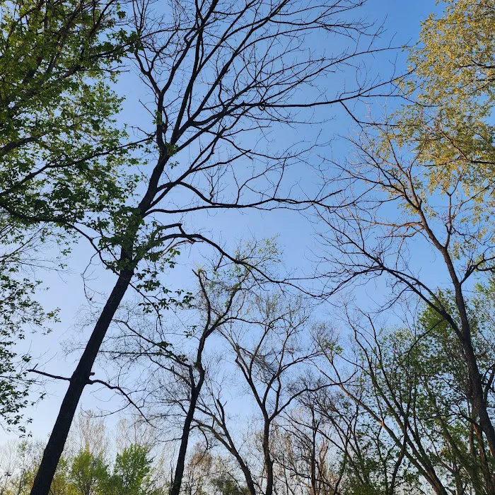 Castor River Hideaway Campground 5