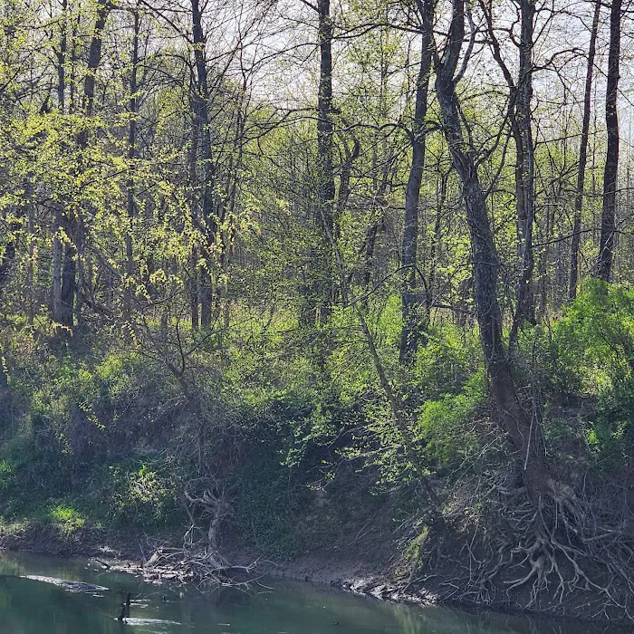 Castor River Hideaway Campground 6