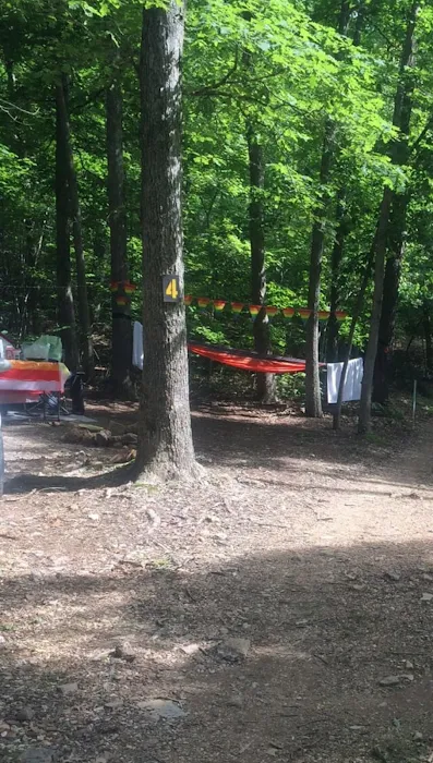 Camp Dawg Woodz 2