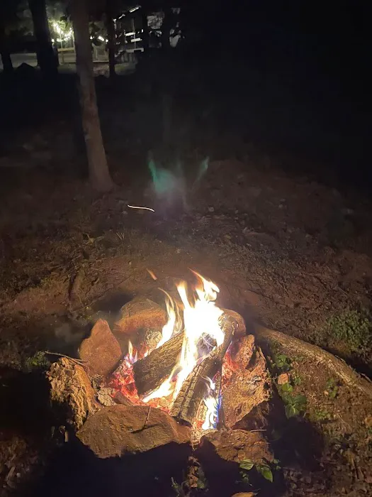 Camp Dawg Woodz 4