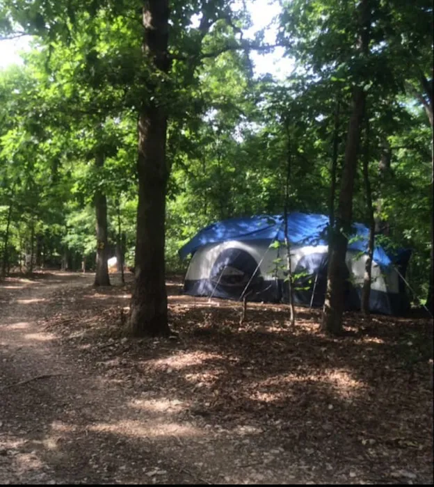Camp Dawg Woodz 3