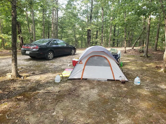 Dawgwoodzcamp 0