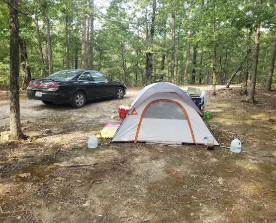 Dawgwoodzcamp