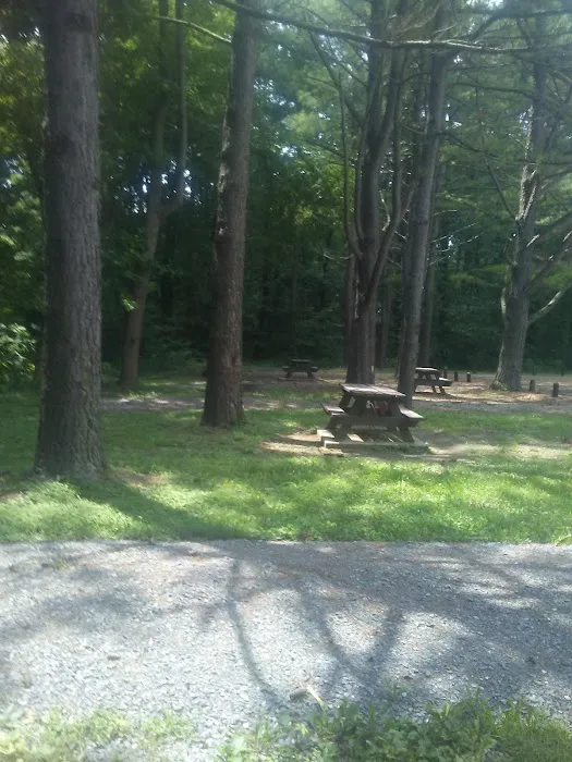 General Watkins Conservation Area 2