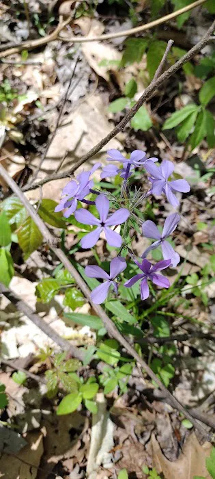 General Watkins Conservation Area 3