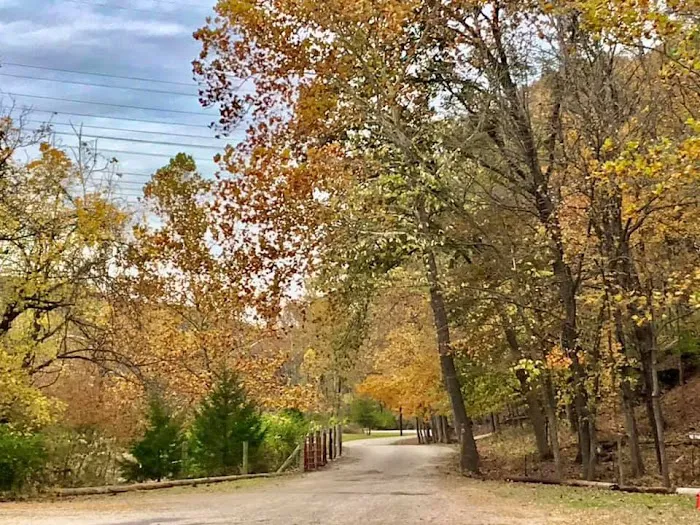 Beaumont Scout Reservation 1