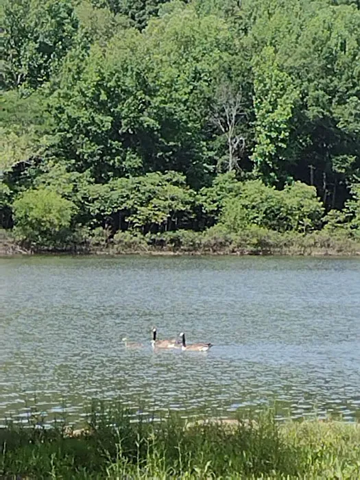 People's Creek 0