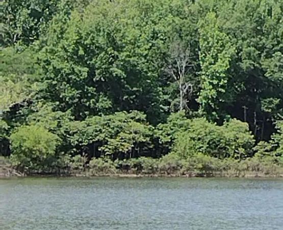 People's Creek