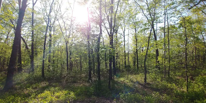 Redman Campground East 4