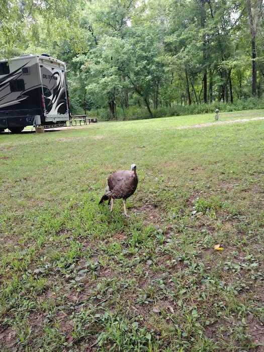 Big Spring Campground 7