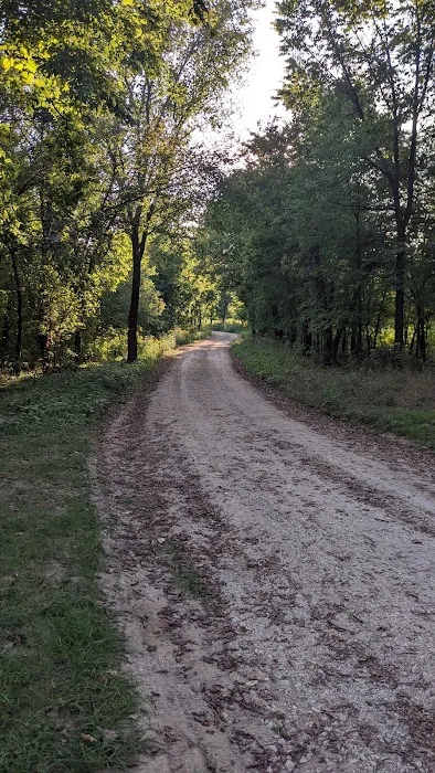 Big Tree Campground 6