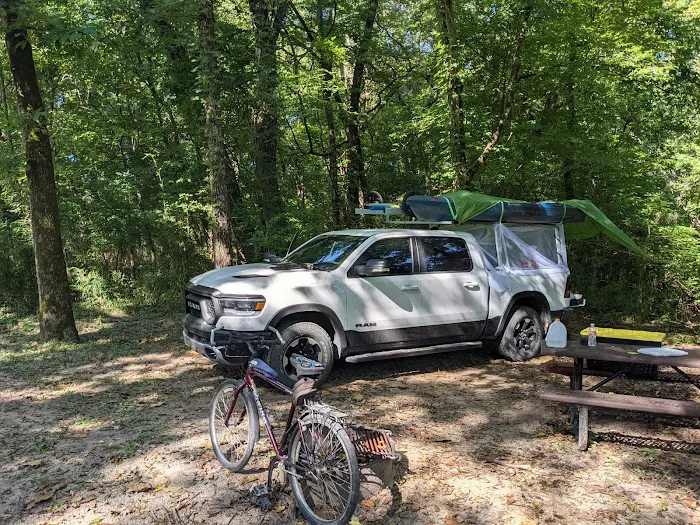 Big Tree Campground 5