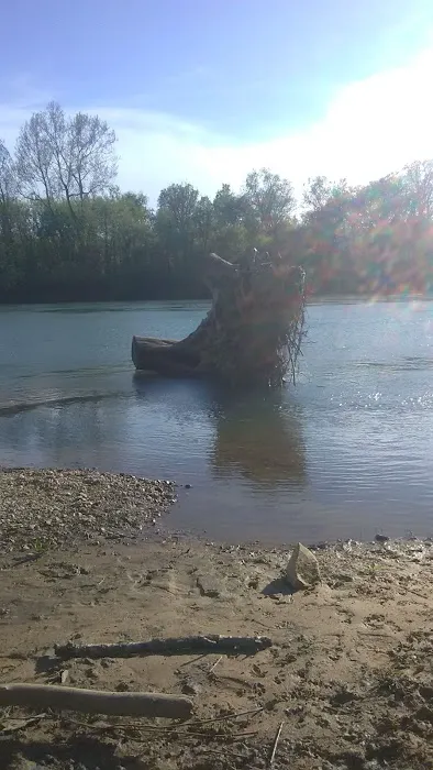 Float Camp Picnic Area 3