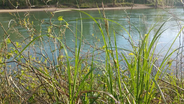 Deer Leap Campground 2