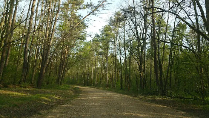 Deer Leap Campground 6
