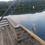 Fourche Lake Recreation Area, Mark Twain National Forest