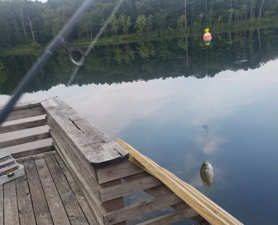 Fourche Lake Recreation Area, Mark Twain National Forest