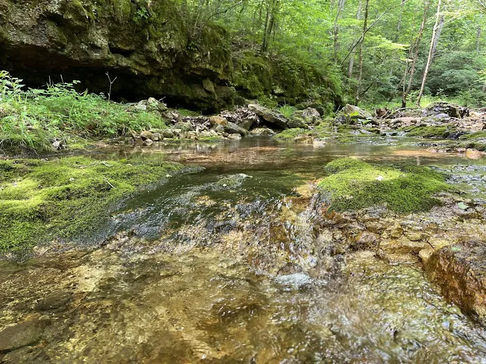 Buffalo Creek Campground 0