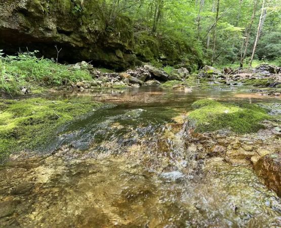 Buffalo Creek Campground