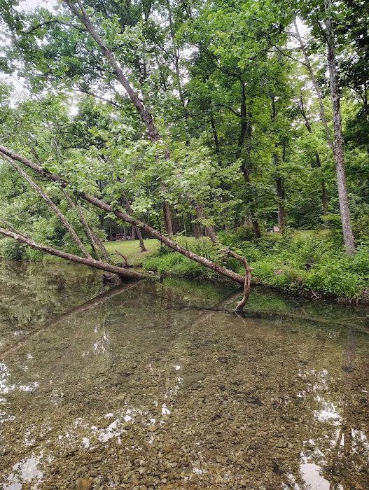 Buffalo Creek Campground 2