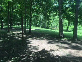 Buffalo Creek Campground 8