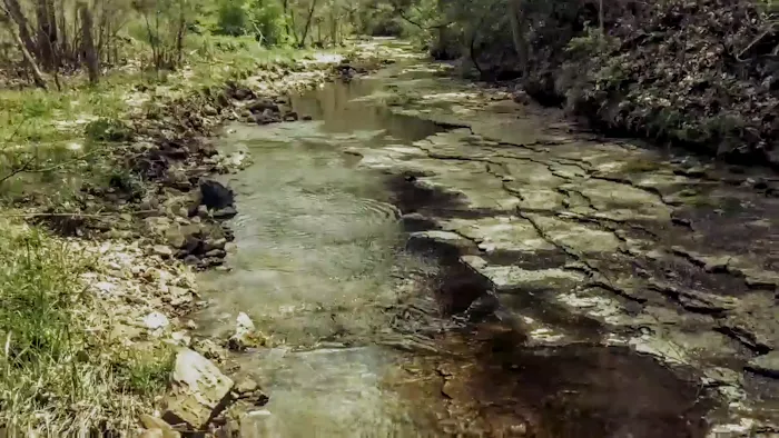 Hawk Arrow Springs 6