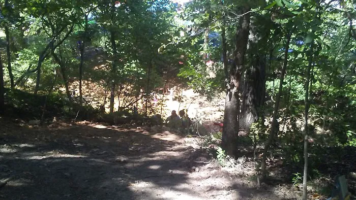 Hawk Arrow Springs 8