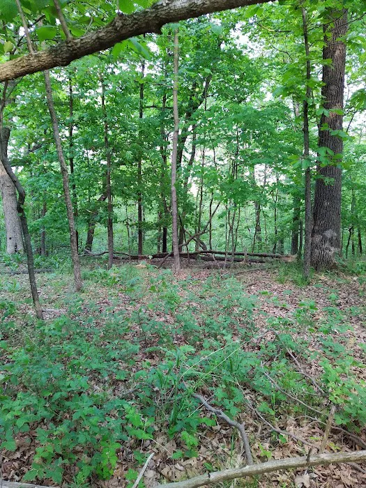 Forrest Staley County Park 2