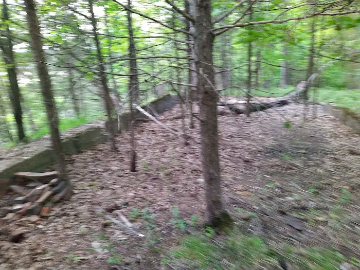 Forrest Staley County Park 1