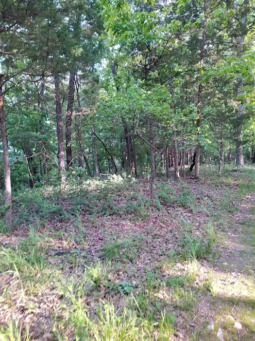 Forrest Staley County Park 3