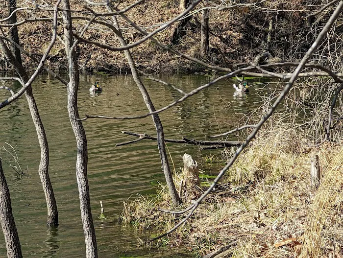 Missouri Bluffs Park 7