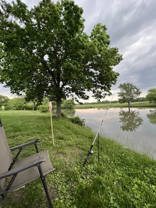 Town & Country Lakes 5