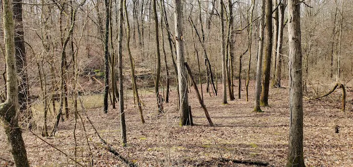 Camp Warren Levis 3