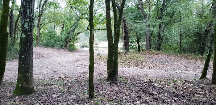 Bay Creek Campground 9