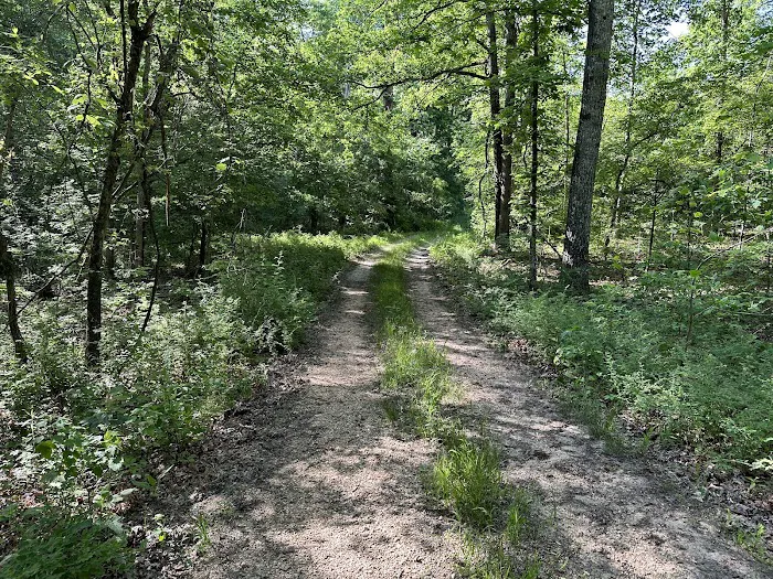 Ozark Trail Eleven Point Terminus 0