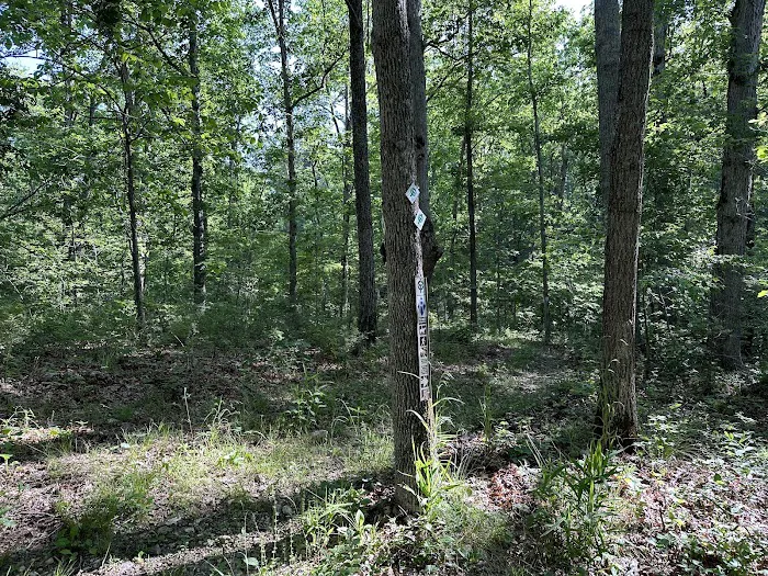 Ozark Trail Eleven Point Terminus 1