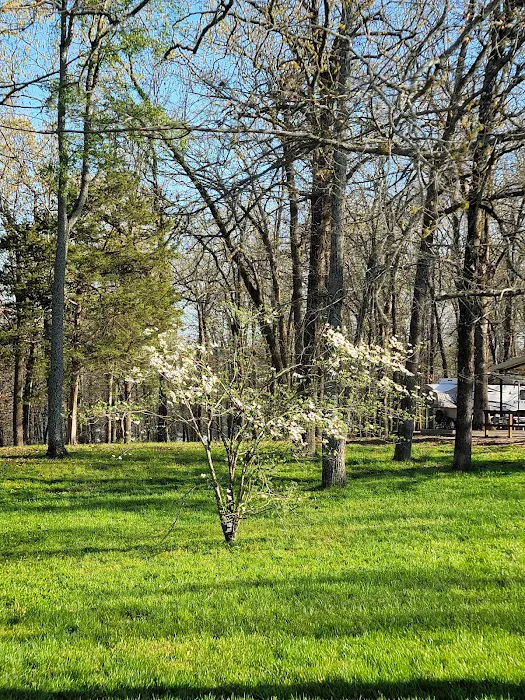 Cranfield Campground 7