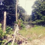 Warm Fork Conservation Area