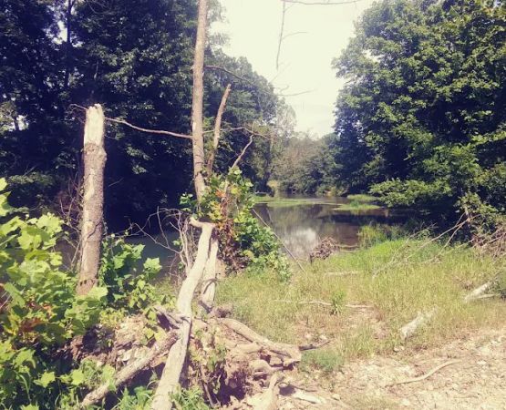 Warm Fork Conservation Area