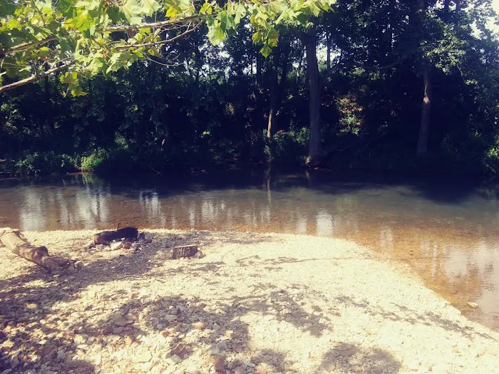 Warm Fork Conservation Area 4