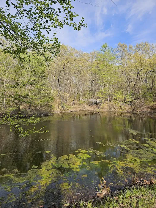 Pershing State Park Campground 4