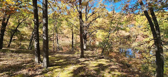 Pershing State Park Campground 6